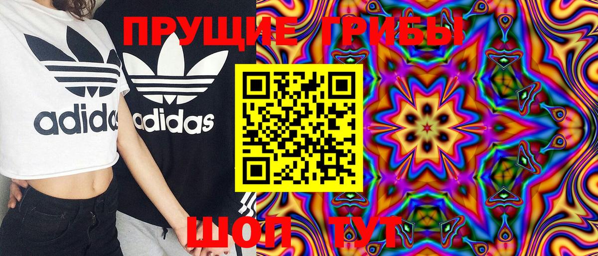 Красногорск  Псилоцибиновые грибы мухоморы  Вход с VPN 